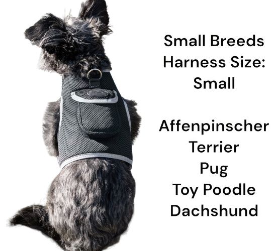 Collar Clipped GPS Cat Tracker Enhanced Realtime Wireless Pet Locator Size:L