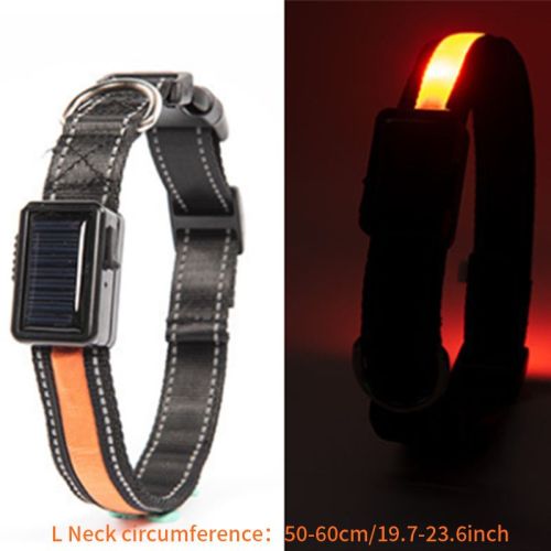 Solar And USB Rechargeable Light Up Pet Collar Waterproof LED Dog & Cat Collars For Night Walking