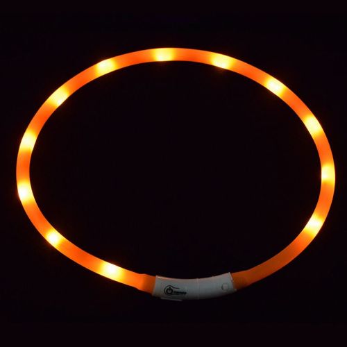 Pet's LED Collar With USB Rechargeable Glowing Lighted Up & Cuttable Waterproof Safety For Dogs