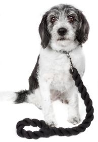 Pet Life Tough-Tugger Industrial-Strength Shock Absorption Woven Dog Leash (Color: NAVY)