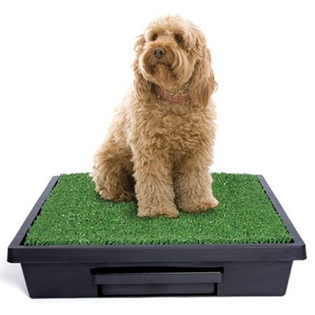Pet Loo Potty Training System